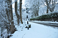 Read In Winter